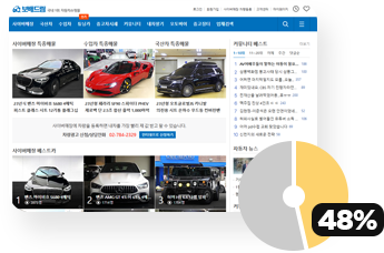 국내기업 seo 실상 - 보배드림 이미지