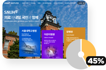 국내기업 seo 실상 - 서울대병원 이미지